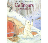 Calinours se réveille