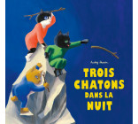 Trois chatons dans la nuit