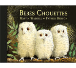 Bébés Chouettes