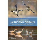 Les secrets de la photo d'oiseaux