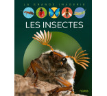 Les insectes