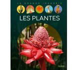 Les plantes