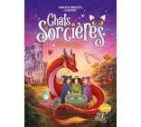 Chats & sorcières - Le puits magique