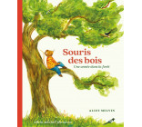 Souris des bois - Une année dans la forêt