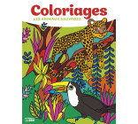 GRANDS COLORIAGES ANI SAUVAGES