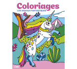 GRANDS COLORIAGES ANI FANTASTI