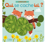 QUI SE CACHE ICI ANI. FORET