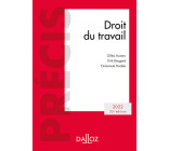 Droit du travail 2022 35ed