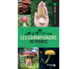 Les champignons de France - 8e édition - 8e edition