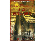 Avant Le labyrinthe - tome 5 La braise