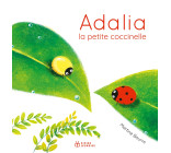 Adalia, la petite coccinelle