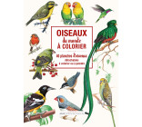 Oiseaux du monde à colorier