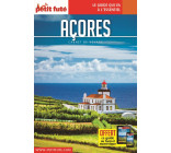 Guide Açores 2019 Carnet Petit Futé