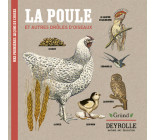 La poule et autres drôles d'oiseaux Deyrolle