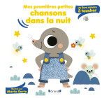 Mes premières petites chansons dans la nuit