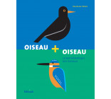 Oiseau + oiseau