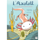 L'axolotl, les secrets d'une métamorphose