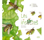 LES INSECTES !