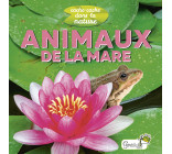 Animaux de la mare