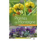 Plantes de Montagne