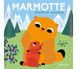 Marmotte