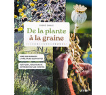 De la plante à la graine