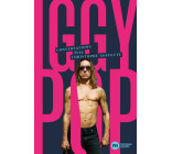 Conversations avec Iggy Pop