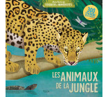 LES ANIMAUX DE LA JUNGLE (COLL. MON LIVRE DE STICKERS NUMÉROTÉS)