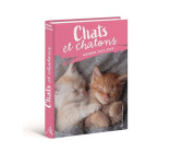 Agenda Chats et chatons 2024-2025