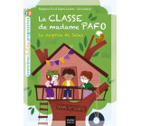 La classe de Madame Pafo - La surprise de Jules CP 6/7 ans