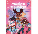 Mystères et sortilèges - Un exposé explosif !