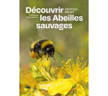 Découvrir les abeilles sauvages