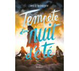 Tempête d'une nuit d'été