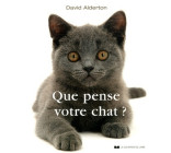 Que pense votre chat ?