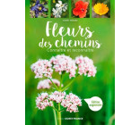 Fleurs des chemins