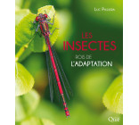 Les insectes