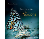 Dans l'intimité des papillons