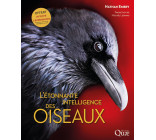 L'étonnante intelligence des oiseaux