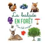 La balade en forêt - Mon bel imagier