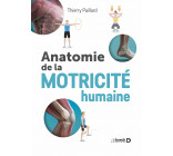 Anatomie de la motricité humaine