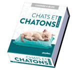 Calendrier Chats et chatons en 365 jours - L'Année à bloc