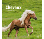 Chevaux - Calendrier 2022