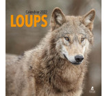 Loups - Calendrier 2022