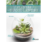 Plantes succulentes