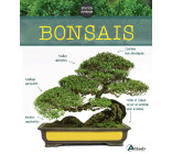 Bonsaïs - Nouvelle édition