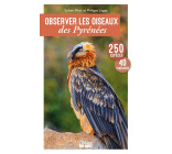 Observer les oiseaux des Pyrénées