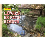 Lavoirs en Pays basque