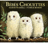 BEBES CHOUETTES (TOUT CARTON)