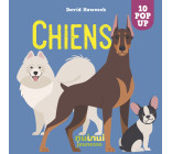 Saisissants pop-up - Chiens