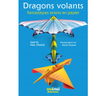 Dragons volants - Fantastiques avions en papier